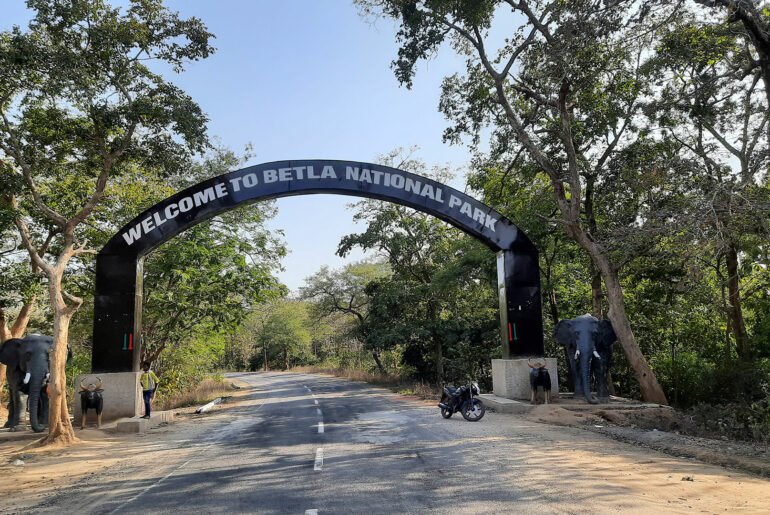 Betla National Park in Jharkhand featuring dense forests, diverse wildlife, scenic landscapes, and exciting jungle safari