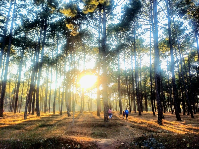 Koel View Point Netarhat overlooking the scenic Koel Valley, lush green forests, and panoramic hill landscapes in Jharkhand.