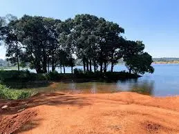 Netarhat Dam surrounded by calm waters, scenic hills, lush green forests, and peaceful natural landscapes in Jharkhand.